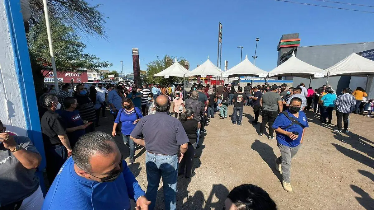 votaciones pan mexicali 2021