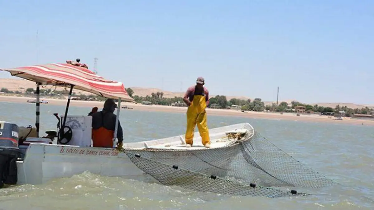 pescadores