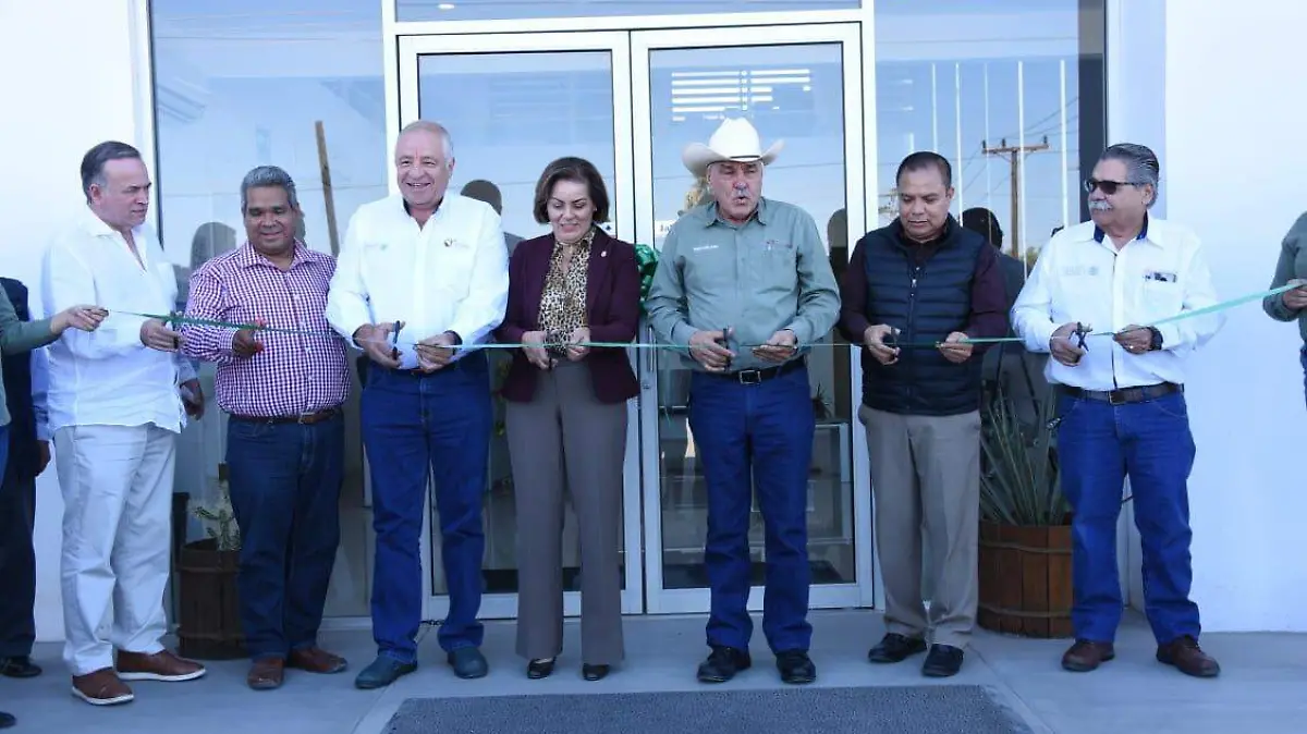 WhatsApp Image 2018-11-20 at 16.08.05