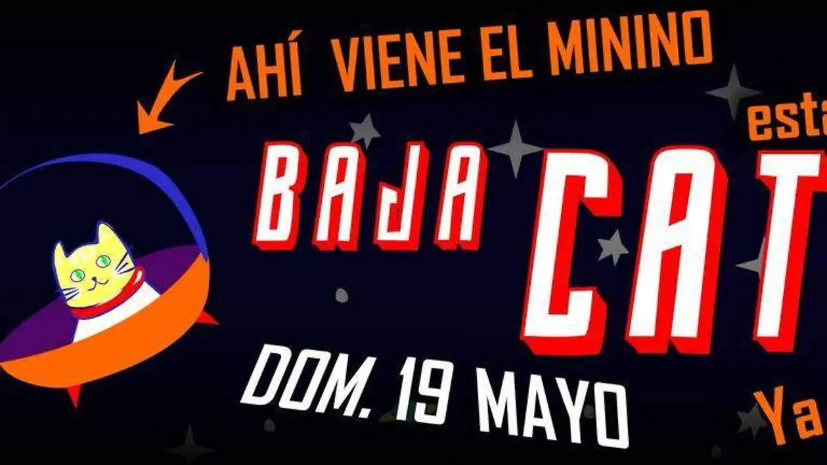 Baja Cat Fest