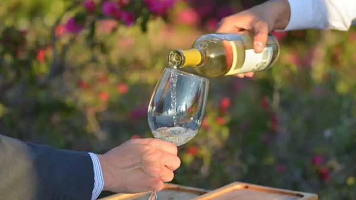 WhatsApp Image 2017-05-05 at 14.43