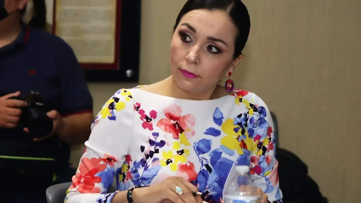 Diputada local por el PAN, Amintha Briceño Cinco