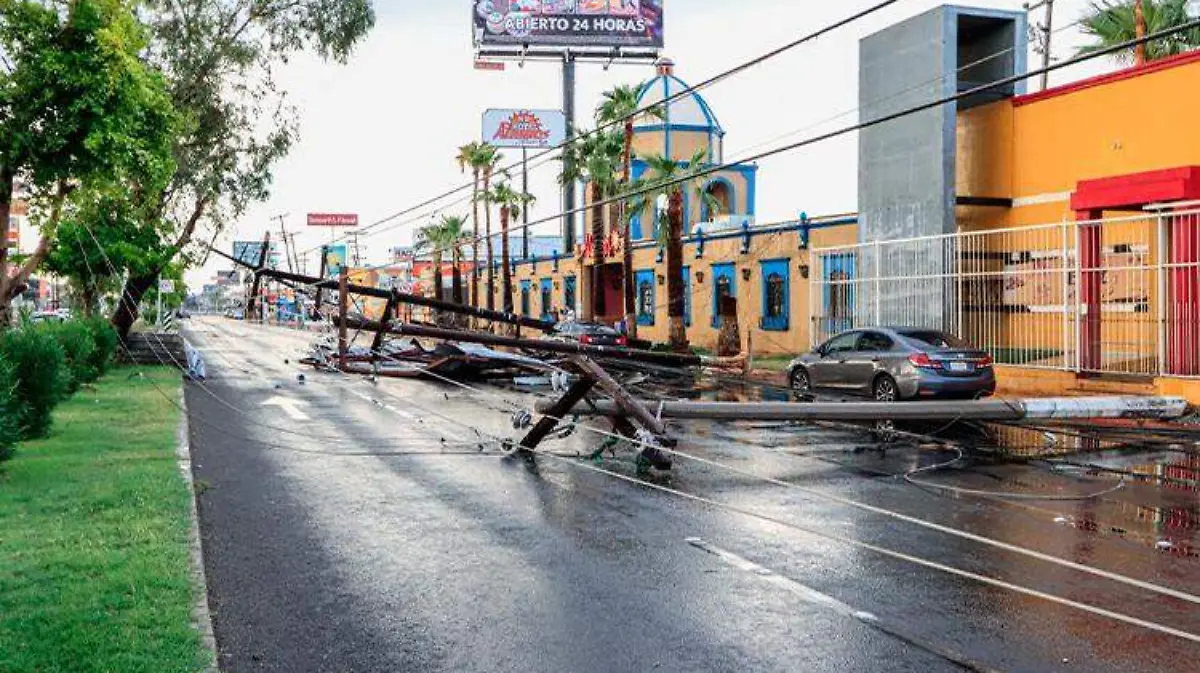 POSTES DE LUZ CAIDOS 