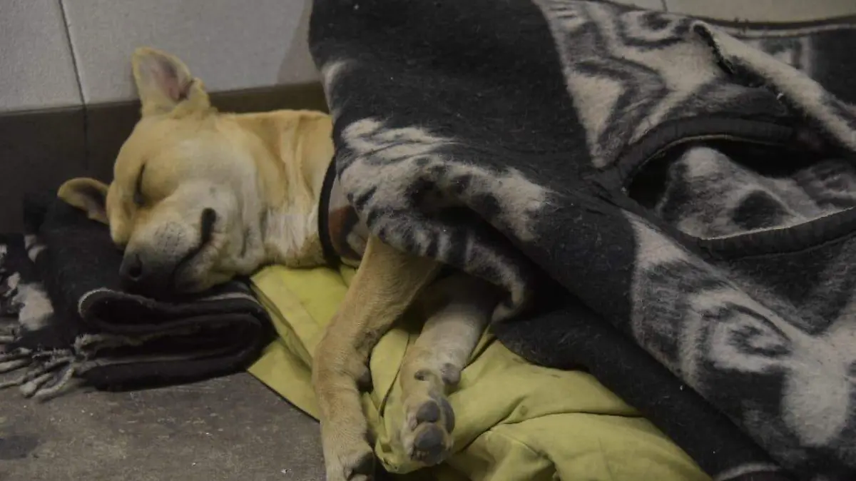 WhatsApp Image 2019-02-24 at 09.29.17