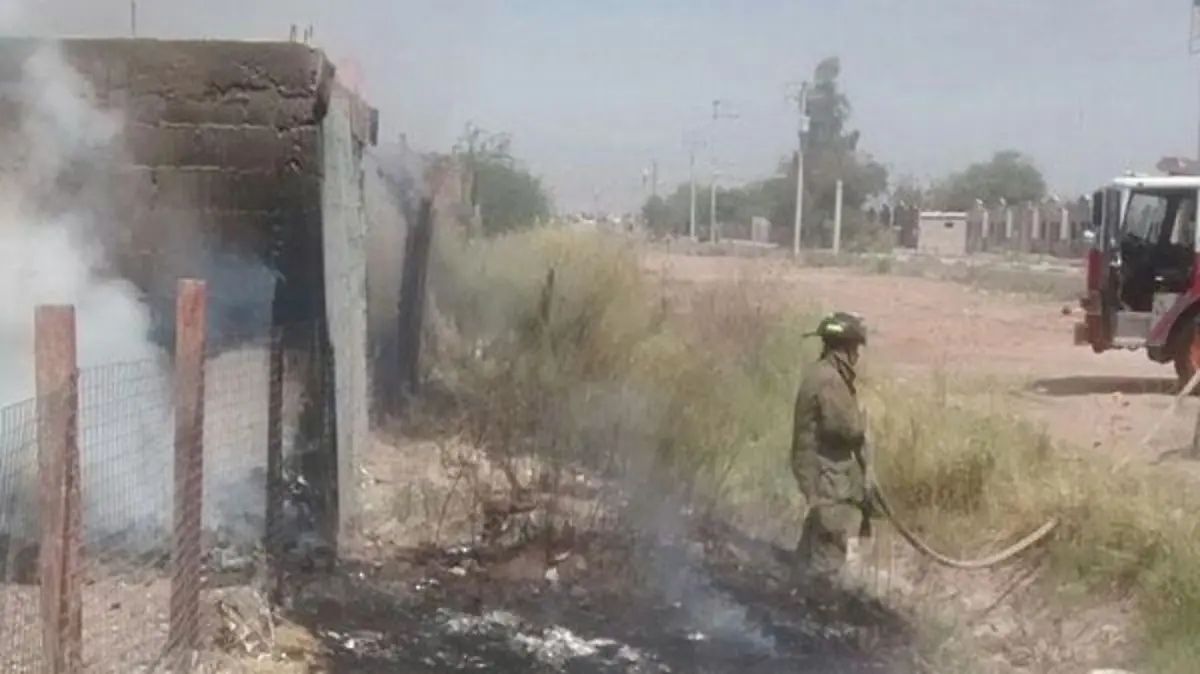 WhatsApp Image 2017-06-09 at 2.31