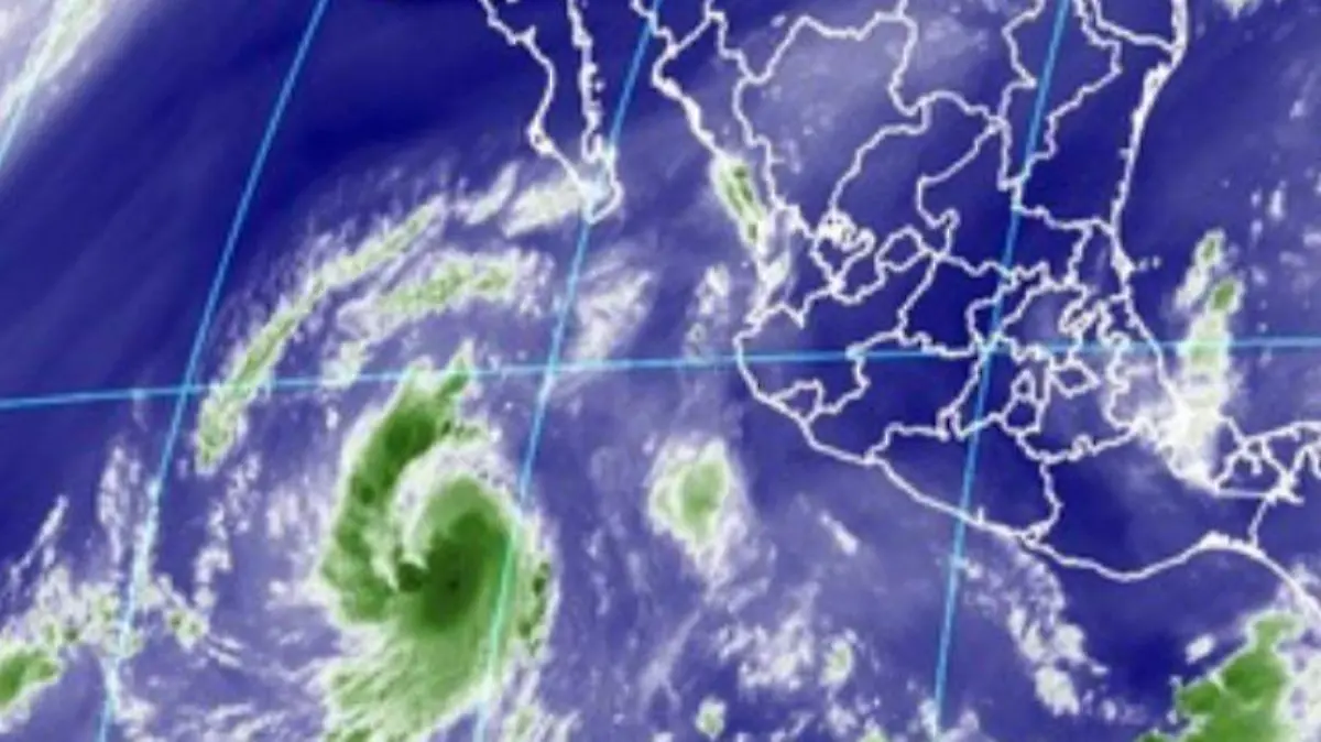 Image 2018-09-26 at 12.25.35 PM