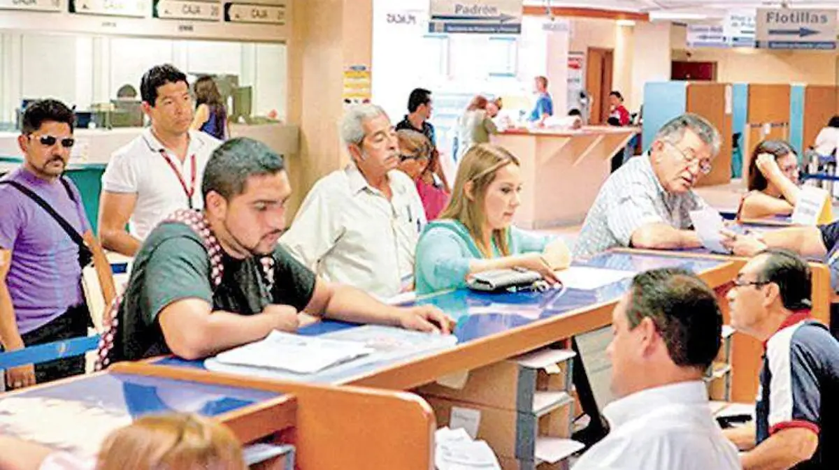 P3 Placas Foto Cortesía