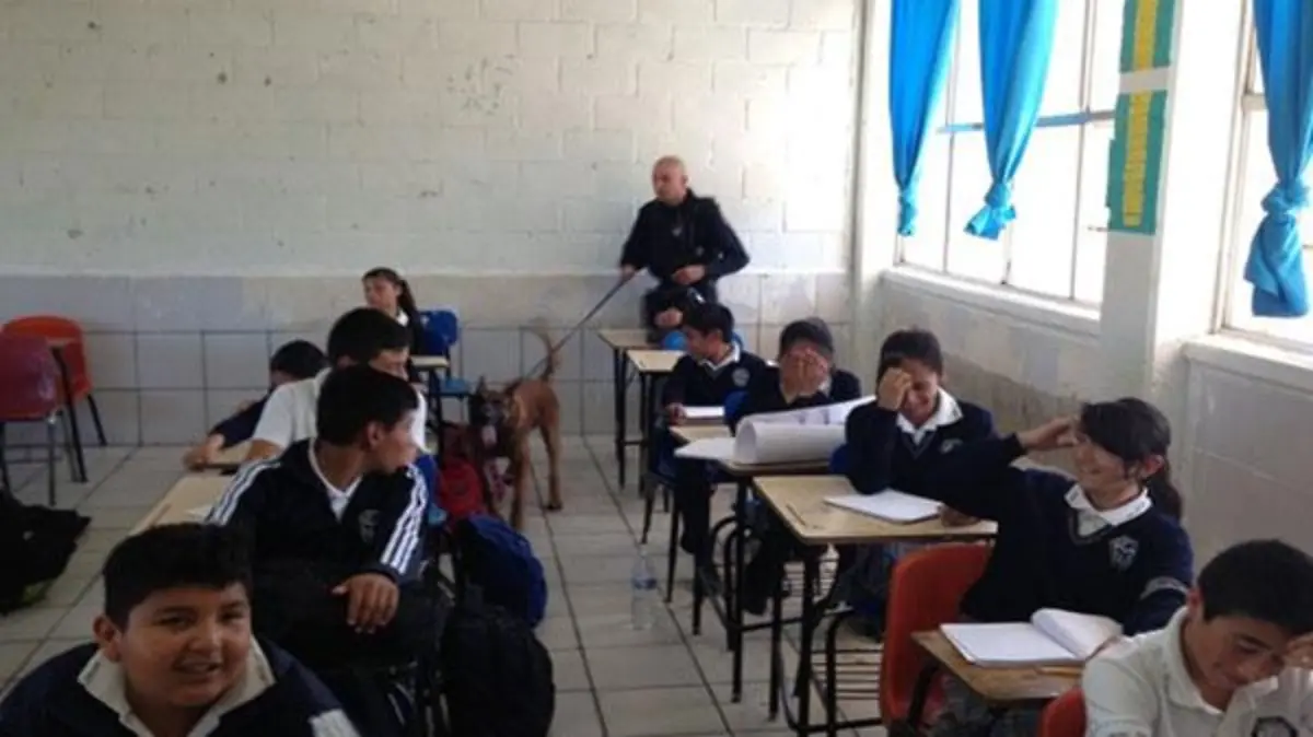 WhatsApp Image 2017-06-07 at 3.34