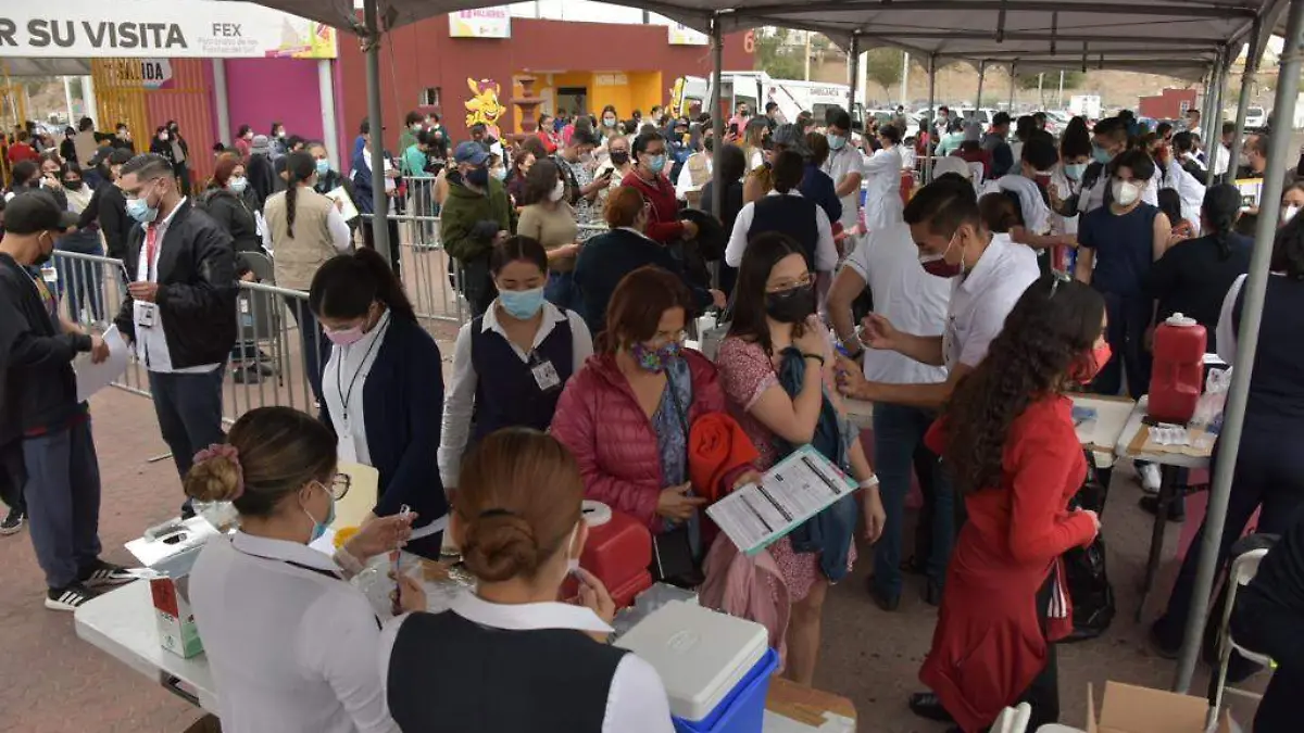 WhatsApp Image 2021-11-23 at 9.15.32 AM