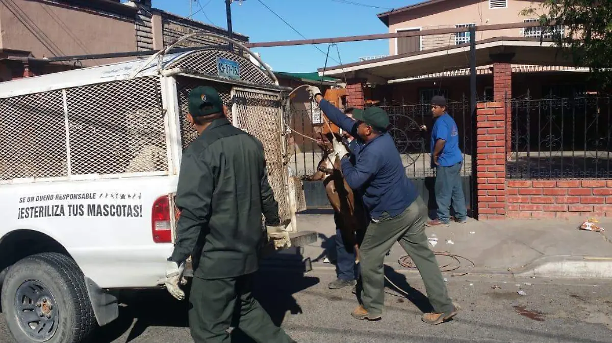 WhatsApp Image 2018-11-27 at 13.48.27