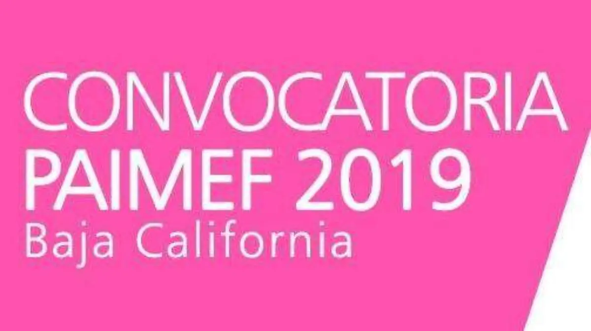 59653034_2250119511914554_4827908411708407808_n