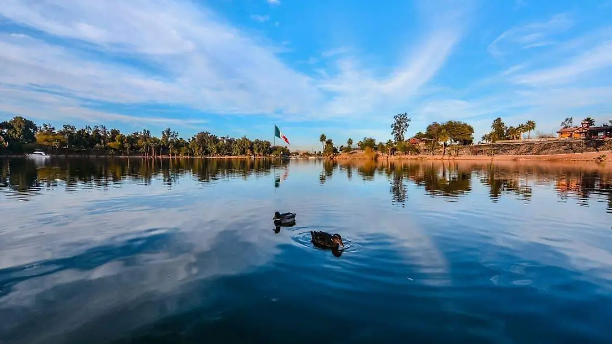 WhatsApp Image 2021-02-24 at 12.54.09 PM