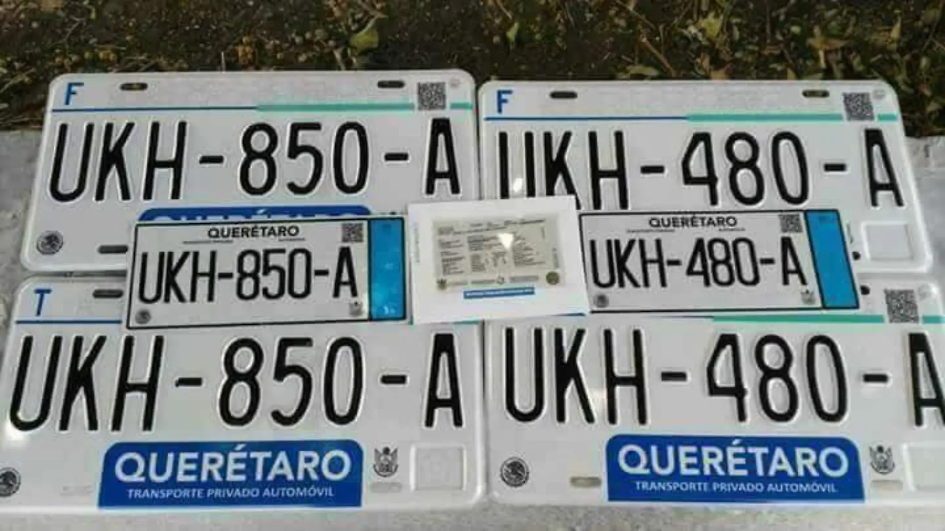 placas4