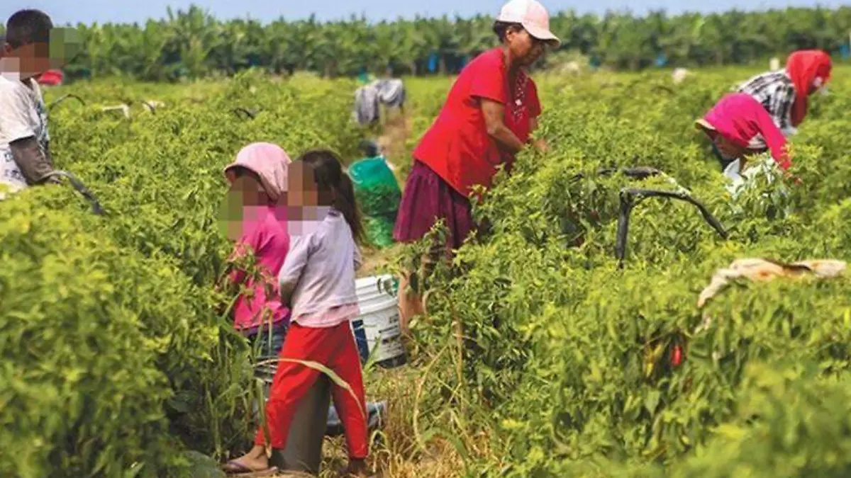 Trabajo Infantil