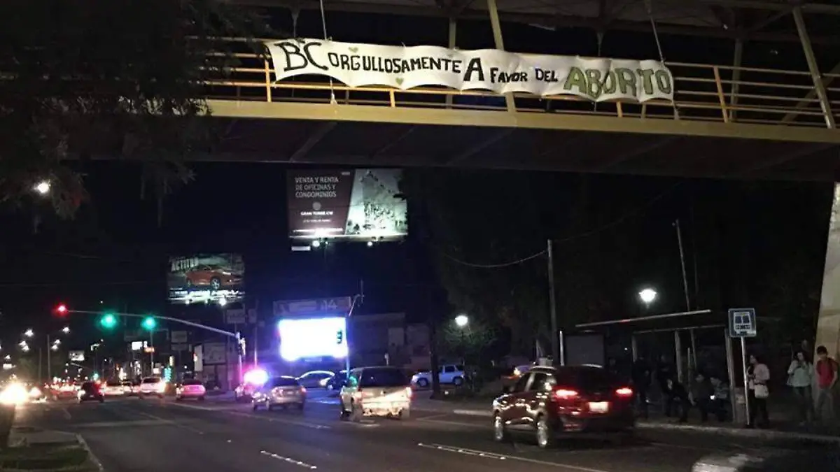 bfc28398-536d-4c98-b892-0b50b56ee4c5