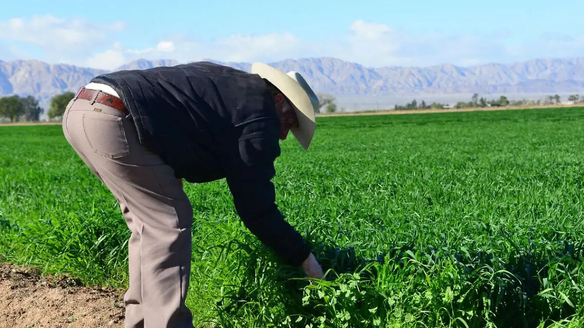 WhatsApp Image 2017-01-21 at 10.11