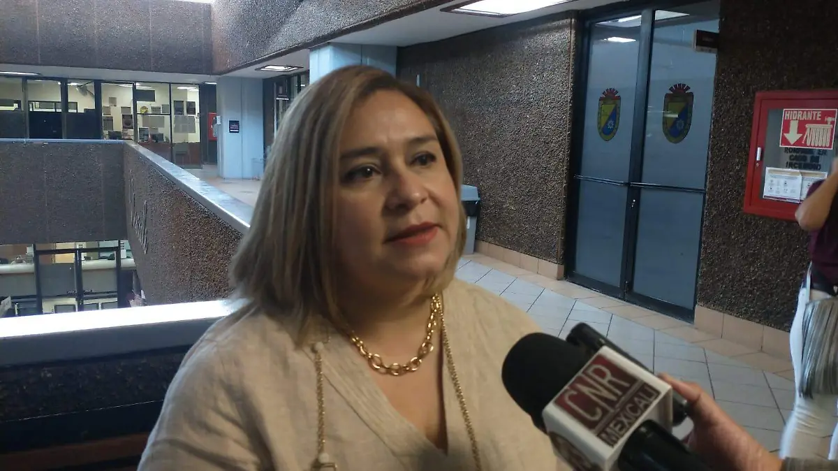 La presidenta del patronato DIF Mexicali, Karla Edith González Navarro