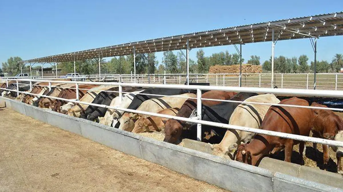 7797eebc-5649-4db9-aba7-8b6ae8027c6d