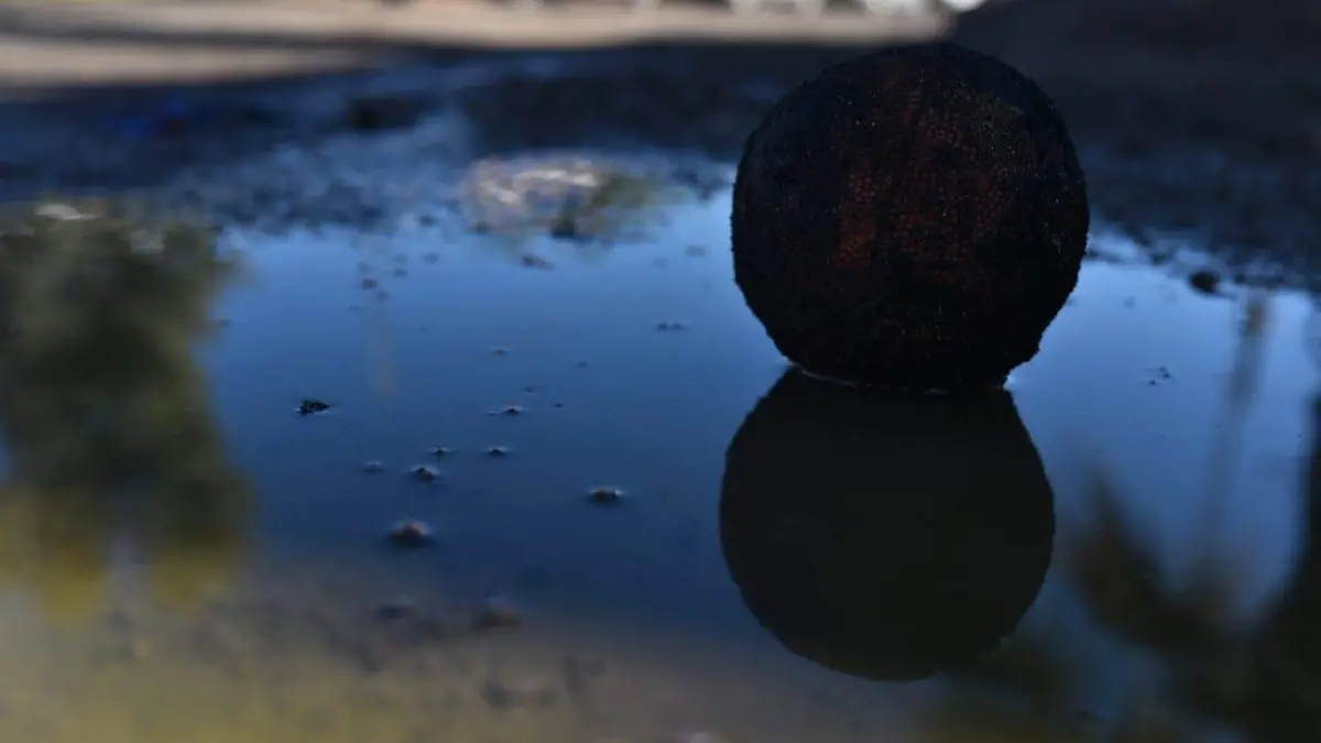 Vierten aceite en drenaje sanitario