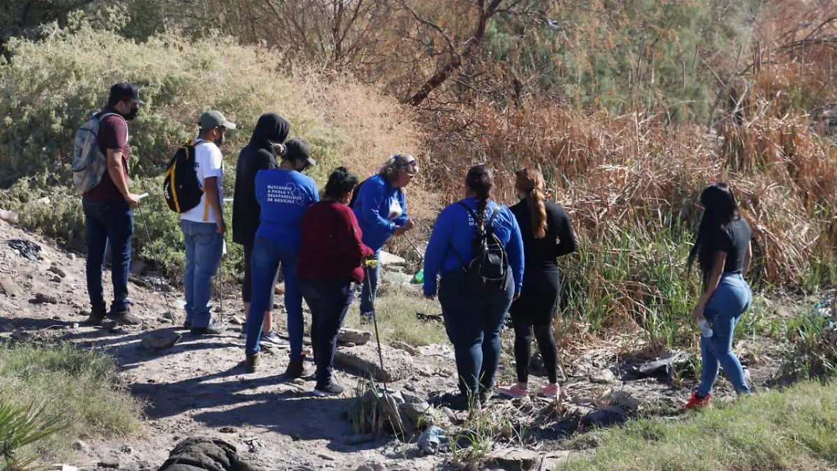 WhatsApp Image 2022-11-06 at 10.10.13 AM