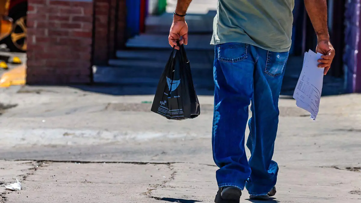 Bolsas de plástico - despensa - canasta básica - mercados