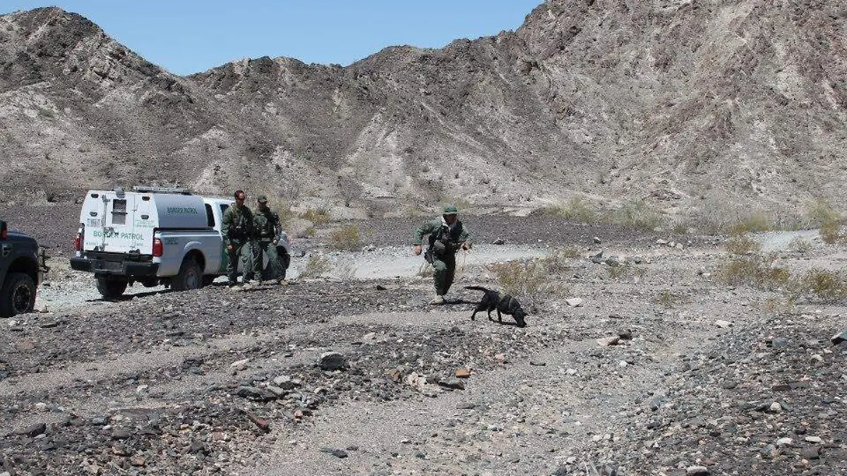 c6f07f00-a239-4b99-a710-e3e324c344bb