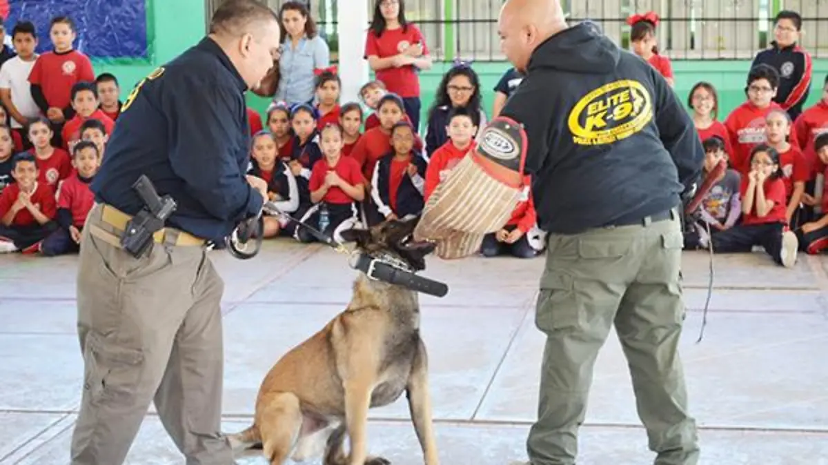 WhatsApp Image 2017-02-15 at 3.00