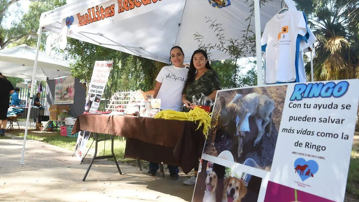 417435b6-6f19-4b8c-a380-3f22d22197fb