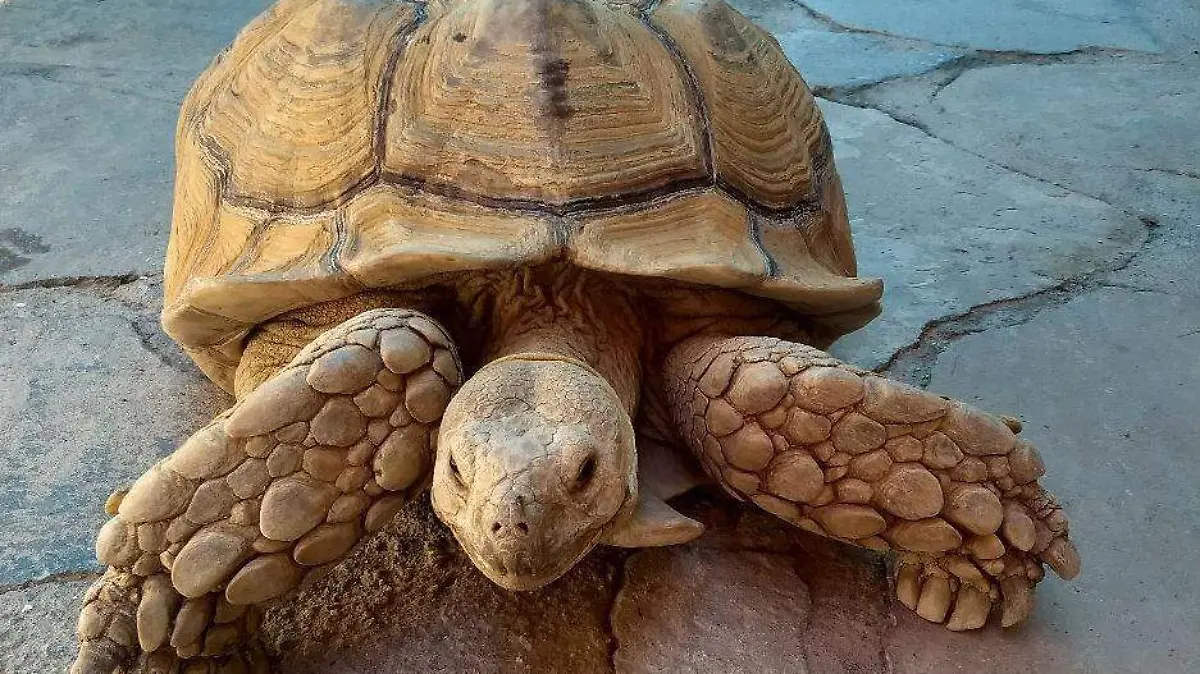 Una oportunidad en el valle para refrescarse este verano