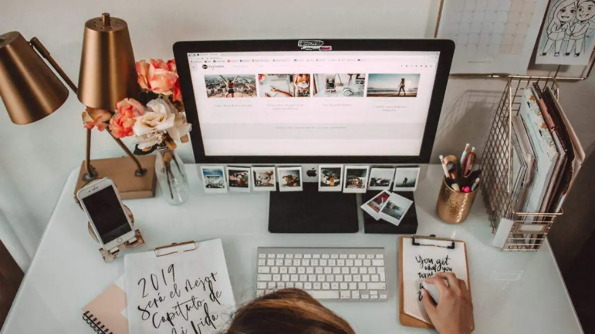 calendario-2019-8va-avenida-fotos-28-1024x683