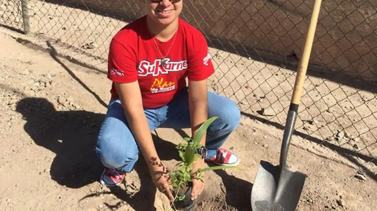 26ef1214-c0a5-4efa-8c5f-285848d64437