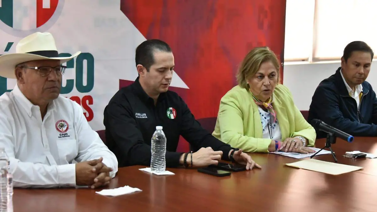 WhatsApp Image 2023-11-08 at 12.32.39 PM (1)