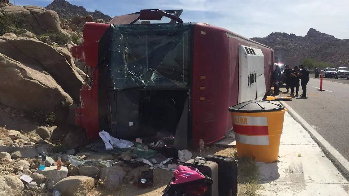 ba57891b-3863-47f3-8218-999b98991838