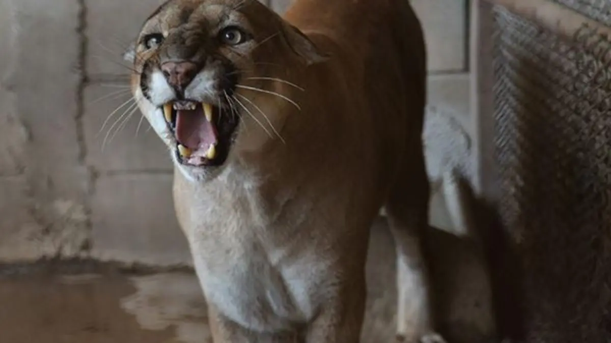 WhatsApp Image 2017-07-28 at 14.11