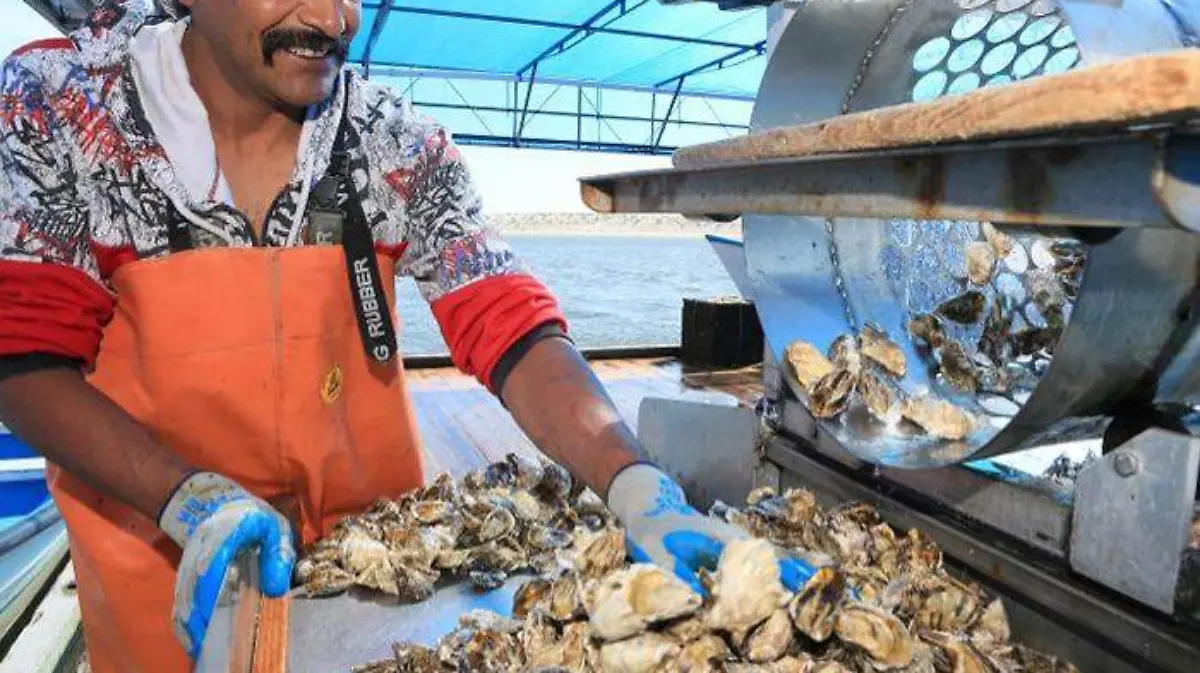 SEPESCA-Domingo4Agosto