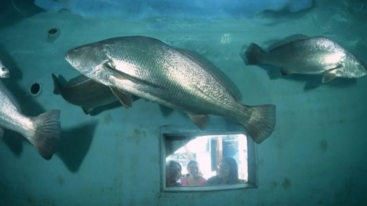 WhatsApp Image 2017-04-29 at 1.59