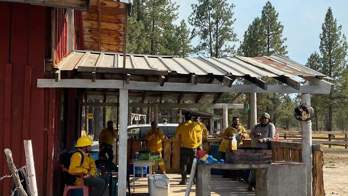 Combaten un incendio en la sierra