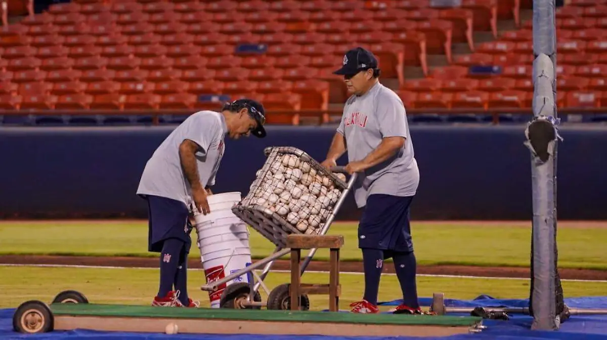 WhatsApp Image 2022-09-12 at 7.40.42 PM