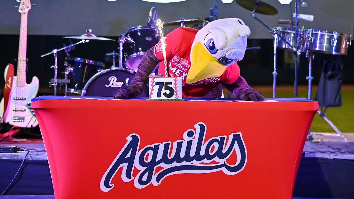 WhatsApp Image 2023-03-17 at 8.09.36 PM