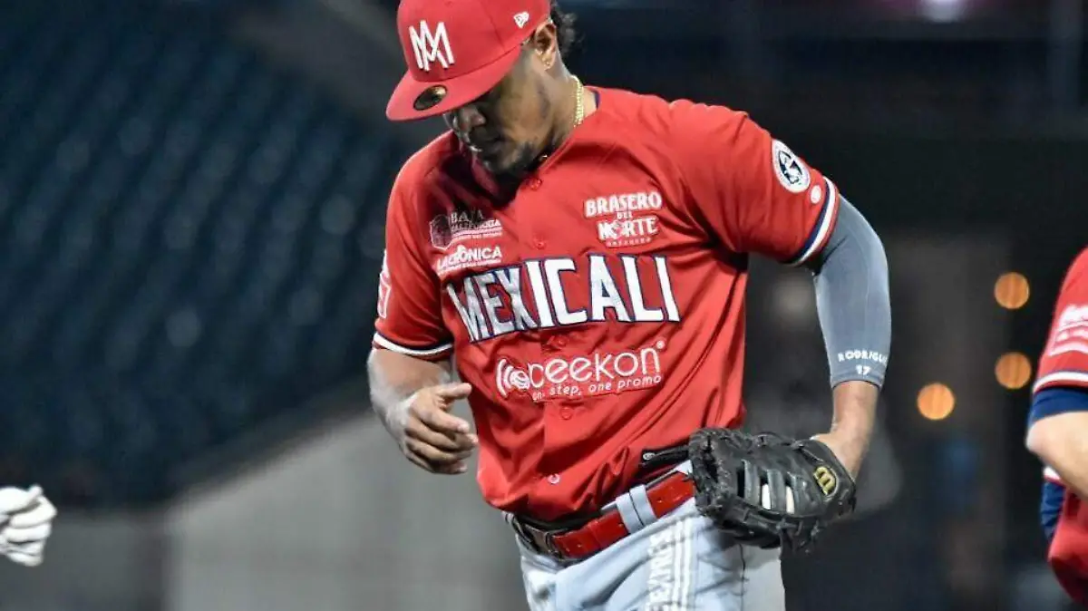 WhatsApp Image 2023-01-02 at 11.14.18 PM