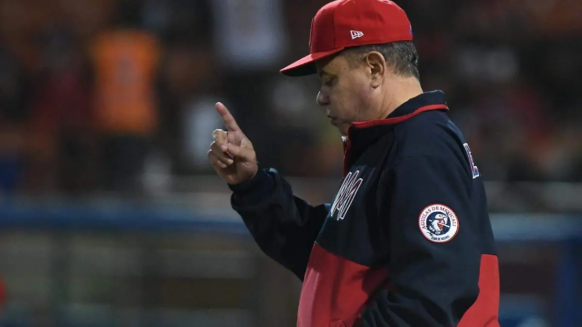 WhatsApp Image 2018-12-04 at 10.04.25 PM