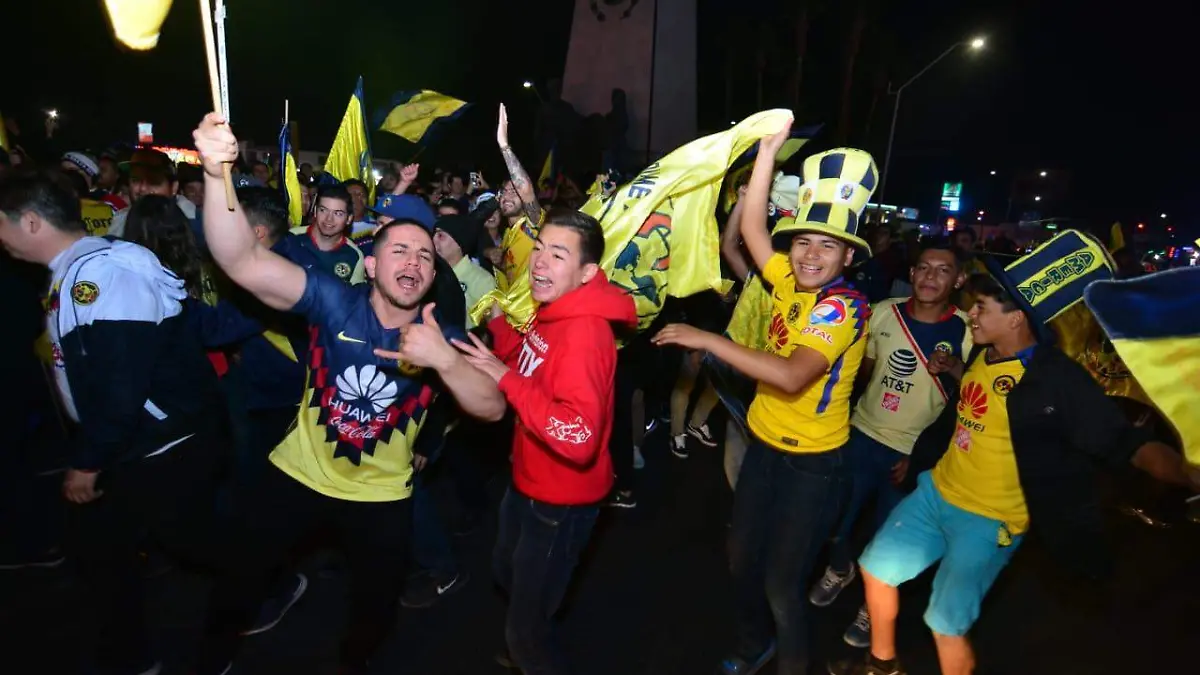 WhatsApp Image 2018-12-16 at 19.29.28 (1)