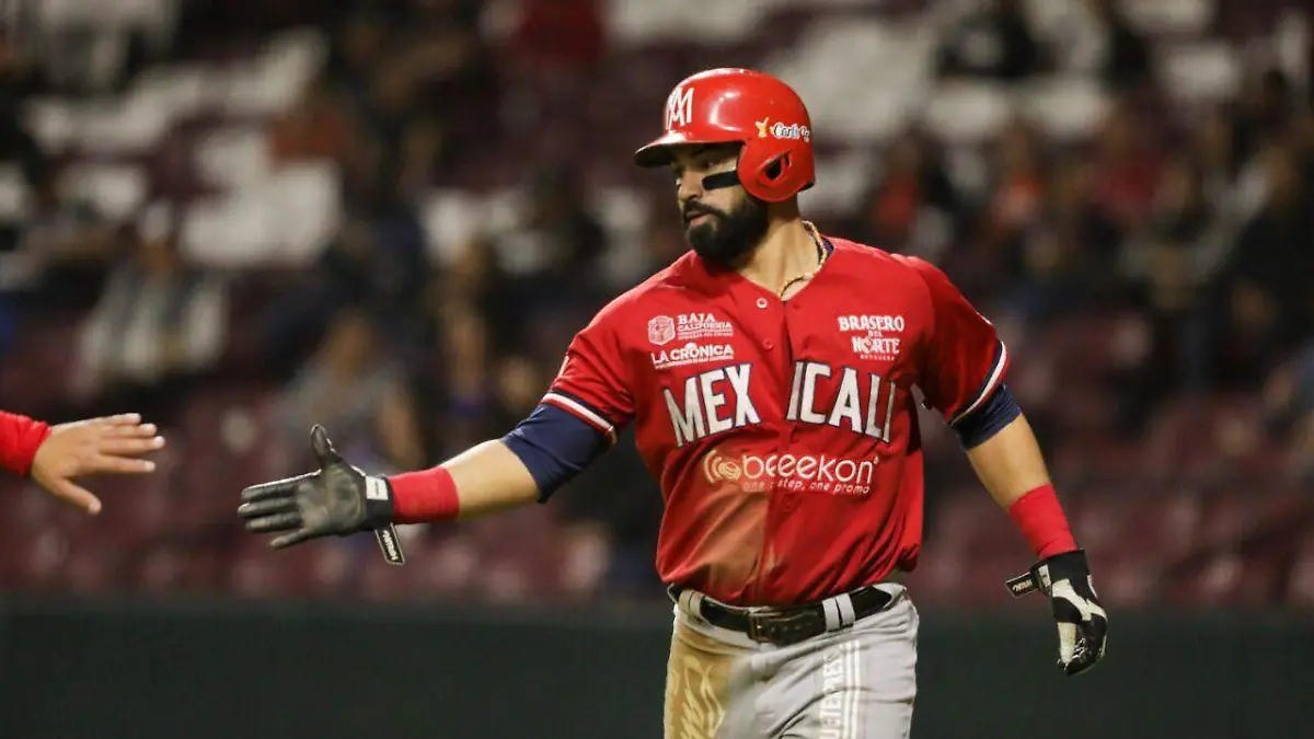 WhatsApp Image 2022-12-13 at 9.44.28 PM