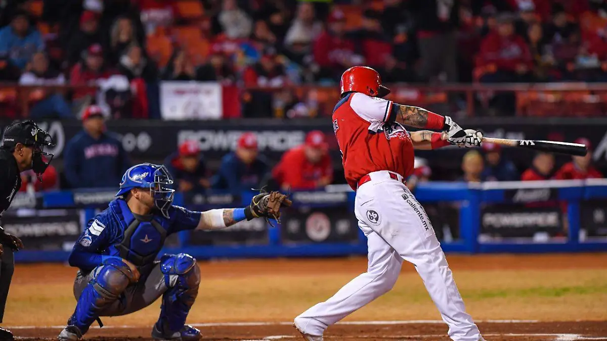 WhatsApp Image 2023-01-06 at 8.22.28 PM