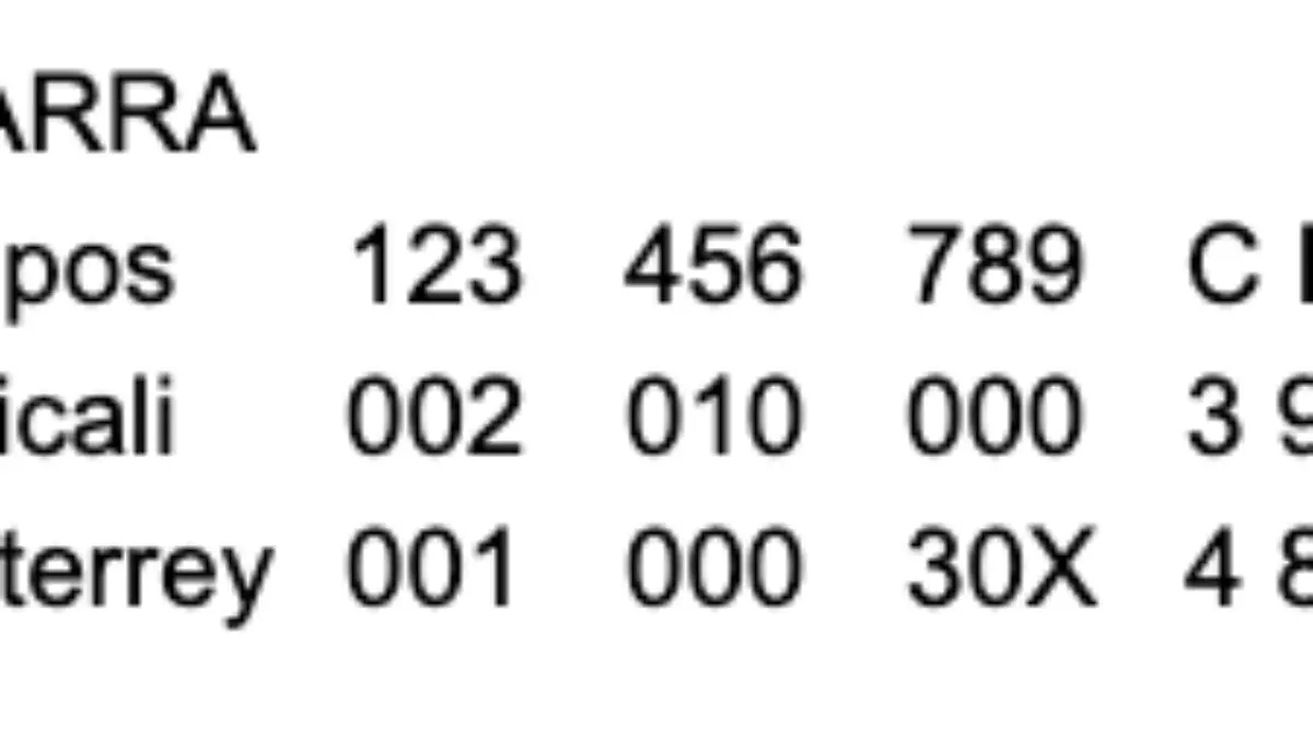 pizarra aguilas vs sultanes 3 enero