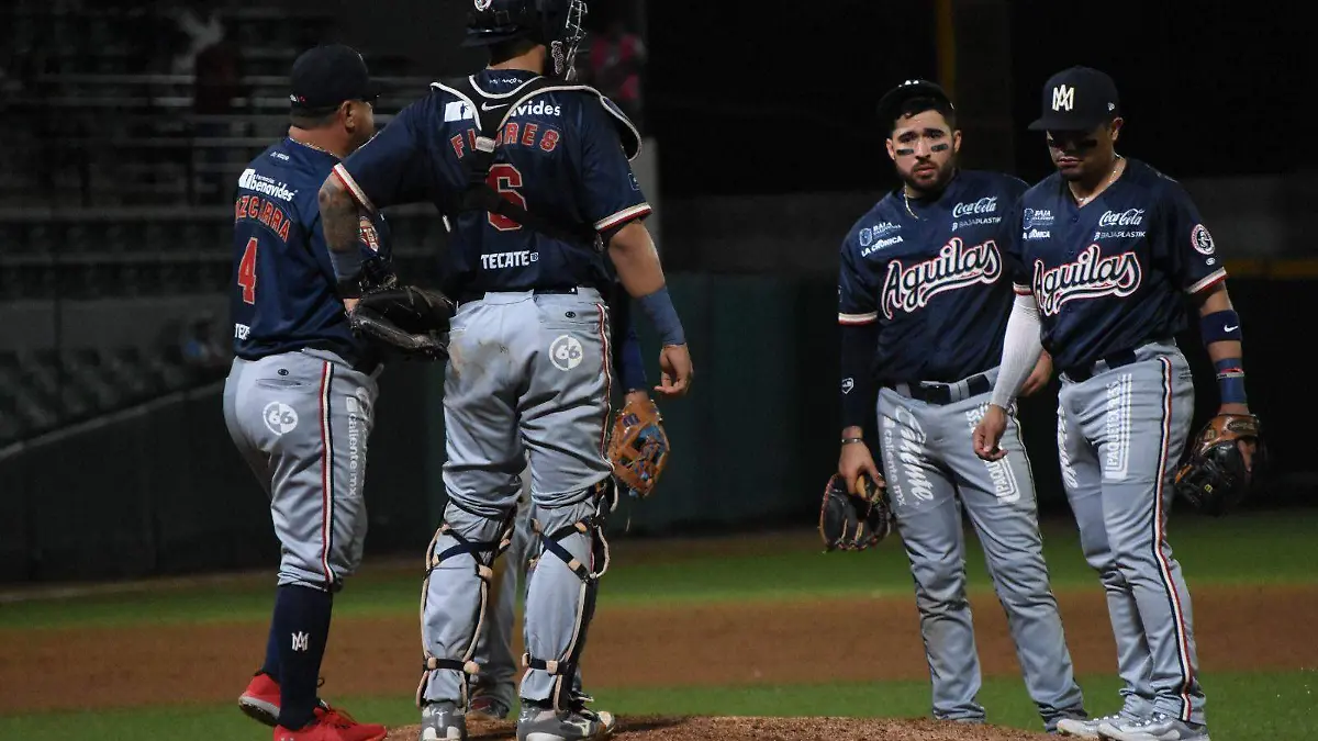 WhatsApp Image 2023-10-24 at 10.46.45 PM