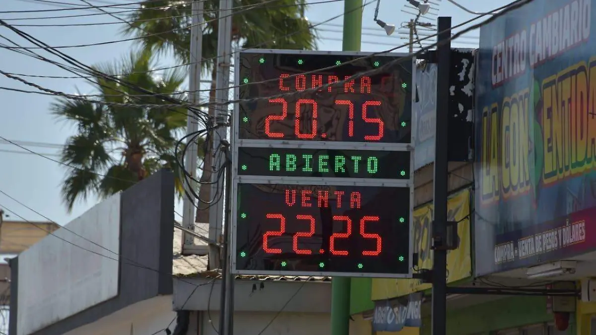 ca3cdd00-5c5e-4522-8483-a0e4fc9db375