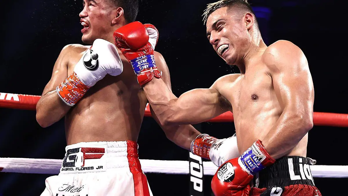 “Venado” brillante en Tucson