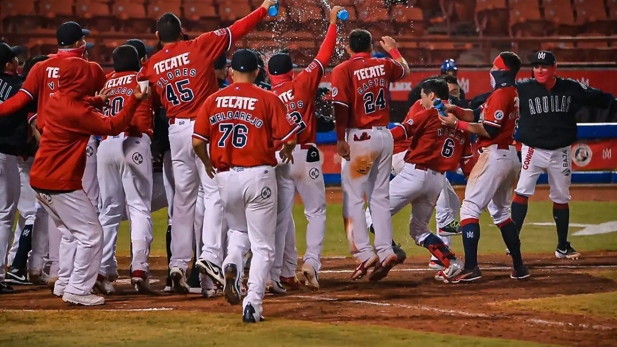 WhatsApp Image 2020-11-18 at 12.16.50 AM