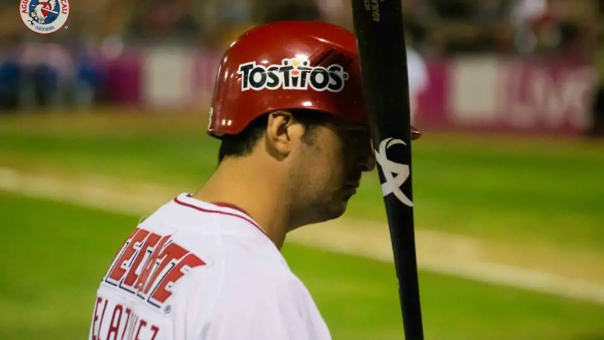 Victory Bats10670059_752280994857483_7096631204586891920_n